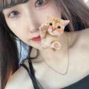 ヒメ日記 2025/12/16 19:05 投稿 松田　ひかり YUDEN〜油殿〜谷九・日本橋店