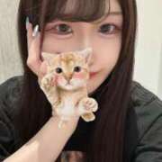 ヒメ日記 2026/01/24 18:04 投稿 松田　ひかり YUDEN〜油殿〜谷九・日本橋店