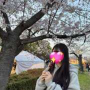 ヒメ日記 2026/02/22 20:31 投稿 松田　ひかり YUDEN〜油殿〜谷九・日本橋店