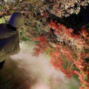 ヒメ日記 2026/03/27 01:00 投稿 松田　ひかり YUDEN〜油殿〜谷九・日本橋店