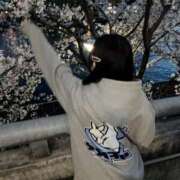 松田　ひかり ありがとう♡明日19時から♡ YUDEN〜油殿〜谷九・日本橋店