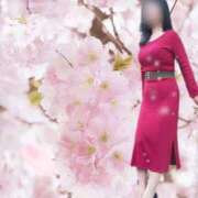 ヒメ日記 2025/03/23 13:55 投稿 須田 まみ こあくまな熟女たち 千葉店（KOAKUMAグループ）