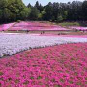 ヒメ日記 2025/04/29 14:10 投稿 須田 まみ こあくまな熟女たち 千葉店（KOAKUMAグループ）