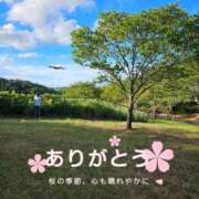 ヒメ日記 2025/03/24 18:52 投稿 夏目　はるか 30・40・50代☆人妻熟女コレクション