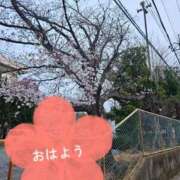 ヒメ日記 2025/03/28 09:50 投稿 夏目　はるか 30・40・50代☆人妻熟女コレクション