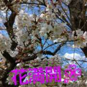 ヒメ日記 2025/04/04 15:29 投稿 夏目　はるか 30・40・50代☆人妻熟女コレクション