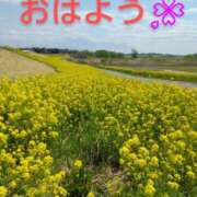 ヒメ日記 2025/04/06 10:38 投稿 夏目　はるか 30・40・50代☆人妻熟女コレクション