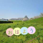 ヒメ日記 2025/04/12 10:53 投稿 夏目　はるか 30・40・50代☆人妻熟女コレクション