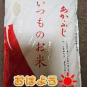ヒメ日記 2025/04/14 11:05 投稿 夏目　はるか 30・40・50代☆人妻熟女コレクション