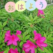 ヒメ日記 2025/04/28 11:14 投稿 夏目　はるか 30・40・50代☆人妻熟女コレクション