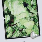 ヒメ日記 2025/04/28 14:45 投稿 夏目　はるか 30・40・50代☆人妻熟女コレクション