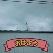 ヒメ日記 2025/05/02 11:17 投稿 夏目　はるか 30・40・50代☆人妻熟女コレクション