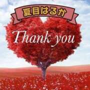 ヒメ日記 2025/05/15 11:12 投稿 夏目　はるか 30・40・50代☆人妻熟女コレクション