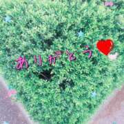 ヒメ日記 2025/06/04 18:08 投稿 夏目　はるか 30・40・50代☆人妻熟女コレクション