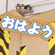 ヒメ日記 2025/06/11 11:00 投稿 夏目　はるか 30・40・50代☆人妻熟女コレクション