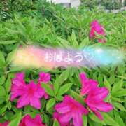 ヒメ日記 2025/06/15 10:45 投稿 夏目　はるか 30・40・50代☆人妻熟女コレクション