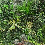 ヒメ日記 2025/06/24 16:05 投稿 夏目　はるか 30・40・50代☆人妻熟女コレクション