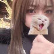 ヒメ日記 2025/03/30 08:46 投稿 ひより 川崎ソープ　クリスタル京都南町