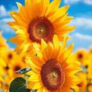 ヒメ日記 2025/08/19 07:36 投稿 りん 吉祥寺角海老