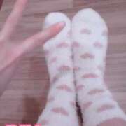 ヒメ日記 2025/11/26 22:56 投稿 りん 吉祥寺角海老