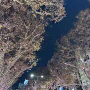 ヒメ日記 2025/12/04 20:56 投稿 りん 吉祥寺角海老