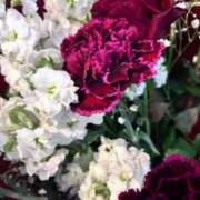 ヒメ日記 2026/01/27 17:16 投稿 りん 吉祥寺角海老