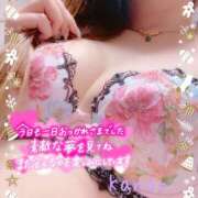 ヒメ日記 2025/12/21 06:20 投稿 春夏 かのん 30代40代50代と遊ぶなら博多人妻専科24時