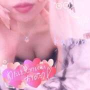 ヒメ日記 2026/01/25 06:19 投稿 春夏 かのん 30代40代50代と遊ぶなら博多人妻専科24時