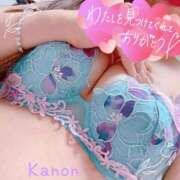 ヒメ日記 2026/02/02 06:23 投稿 春夏 かのん 30代40代50代と遊ぶなら博多人妻専科24時