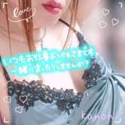 春夏 かのん 出勤します🐻 30代40代50代と遊ぶなら博多人妻専科24時