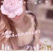 ヒメ日記 2026/02/28 10:25 投稿 春夏 かのん 30代40代50代と遊ぶなら博多人妻専科24時