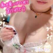 ヒメ日記 2026/09/29 10:23 投稿 春夏 かのん 30代40代50代と遊ぶなら博多人妻専科24時