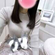 ヒメ日記 2025/03/16 02:09 投稿 うるは 千葉みるみる（ユメオト）