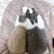 ヒメ日記 2025/04/03 00:57 投稿 うるは 千葉みるみる（ユメオト）