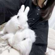 ヒメ日記 2025/04/15 22:12 投稿 うるは 千葉みるみる（ユメオト）