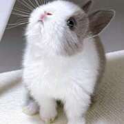 ヒメ日記 2025/05/21 00:45 投稿 うるは 千葉みるみる（ユメオト）