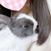 ヒメ日記 2025/06/30 07:51 投稿 うるは 千葉みるみる（ユメオト）