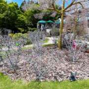 ヒメ日記 2025/08/07 23:38 投稿 うるは 千葉みるみる（ユメオト）