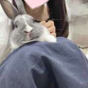 ヒメ日記 2025/08/23 19:57 投稿 うるは 千葉みるみる（ユメオト）