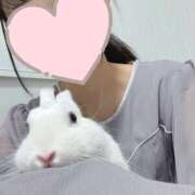 ヒメ日記 2025/09/05 00:42 投稿 うるは 千葉みるみる（ユメオト）