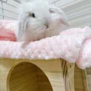 ヒメ日記 2025/10/17 00:43 投稿 うるは 千葉みるみる（ユメオト）