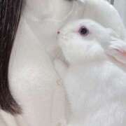 ヒメ日記 2025/11/08 02:20 投稿 うるは 千葉みるみる（ユメオト）