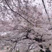 ヒメ日記 2026/03/27 19:57 投稿 たお エロティックマッサージ 錦糸町