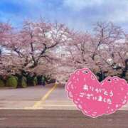 ヒメ日記 2025/04/10 17:40 投稿 あん 濃厚即19妻