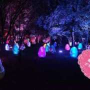 ヒメ日記 2025/04/20 12:26 投稿 あん 濃厚即19妻