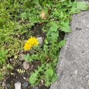 ヒメ日記 2025/04/27 04:30 投稿 えりな 熟女デリヘル倶楽部