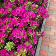 ヒメ日記 2025/04/28 20:37 投稿 えりな 熟女デリヘル倶楽部