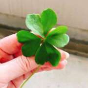 ヒメ日記 2025/05/01 15:49 投稿 えりな 熟女デリヘル倶楽部