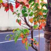 ヒメ日記 2025/12/10 10:05 投稿 えりな 熟女デリヘル倶楽部