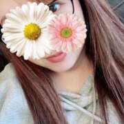 ヒメ日記 2025/04/01 01:45 投稿 ランカ 【福岡デリヘル】20代・30代★博多で評判のお店はココです！